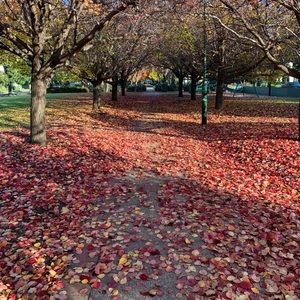 Meet your Posher, Renata